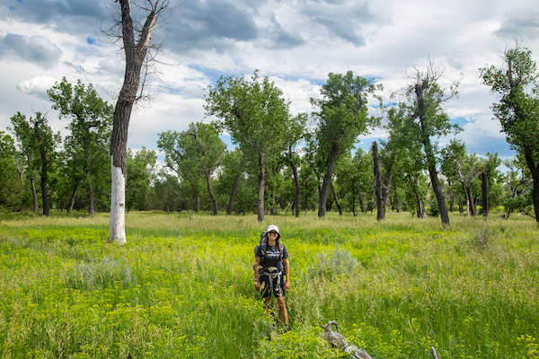 Photo of North Dakota-13.jpg